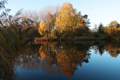 Photo of Picturesque view of lake and trees on autumn day