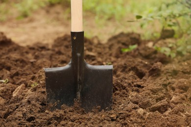 Photo of Shovel in soil outdoors, space for text. Gardening tool