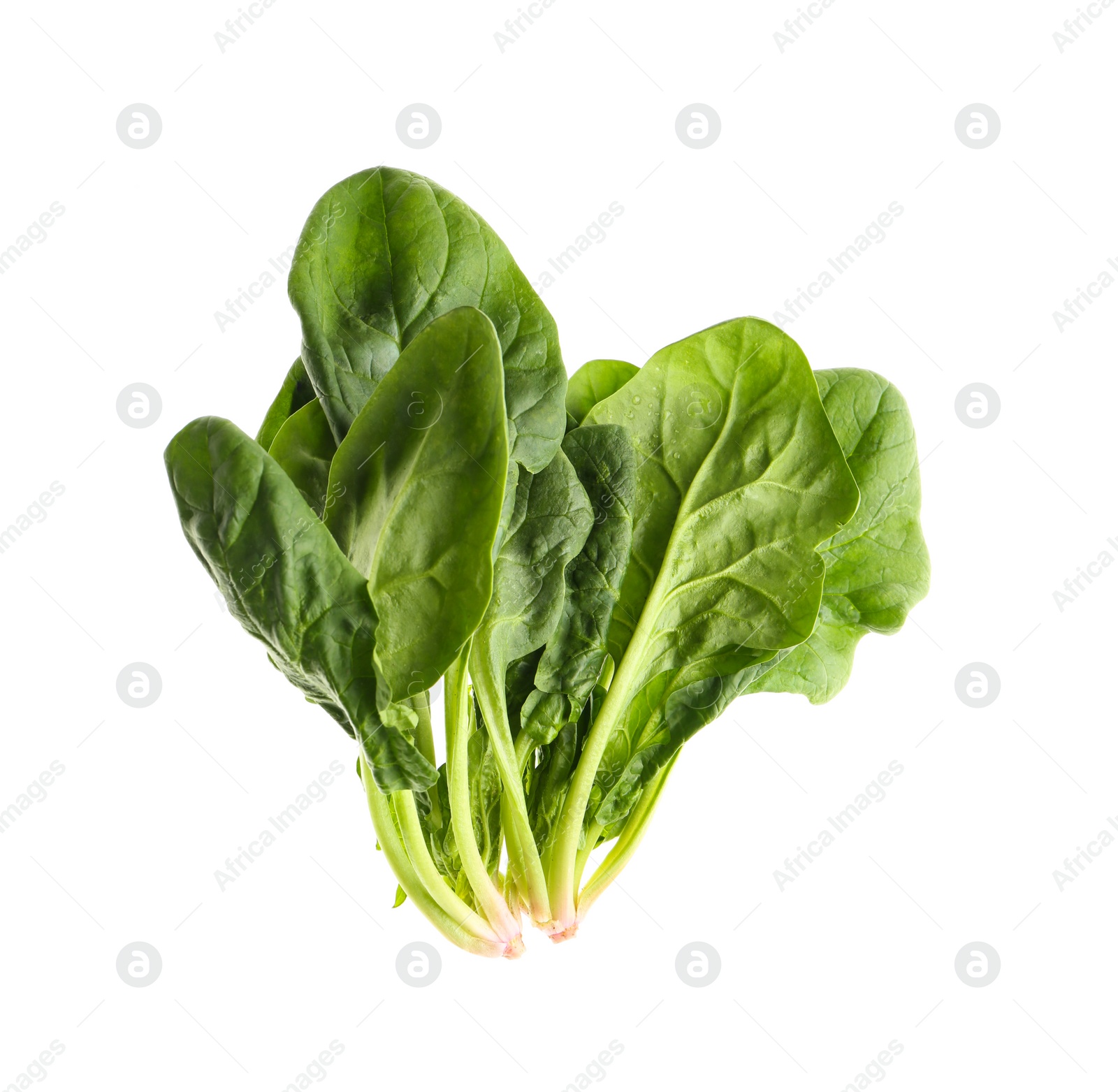 Photo of Fresh green healthy spinach leaves isolated on white, top view