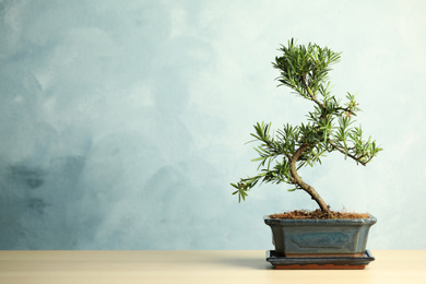 Japanese bonsai plant on wooden table, space for text. Creating zen atmosphere at home