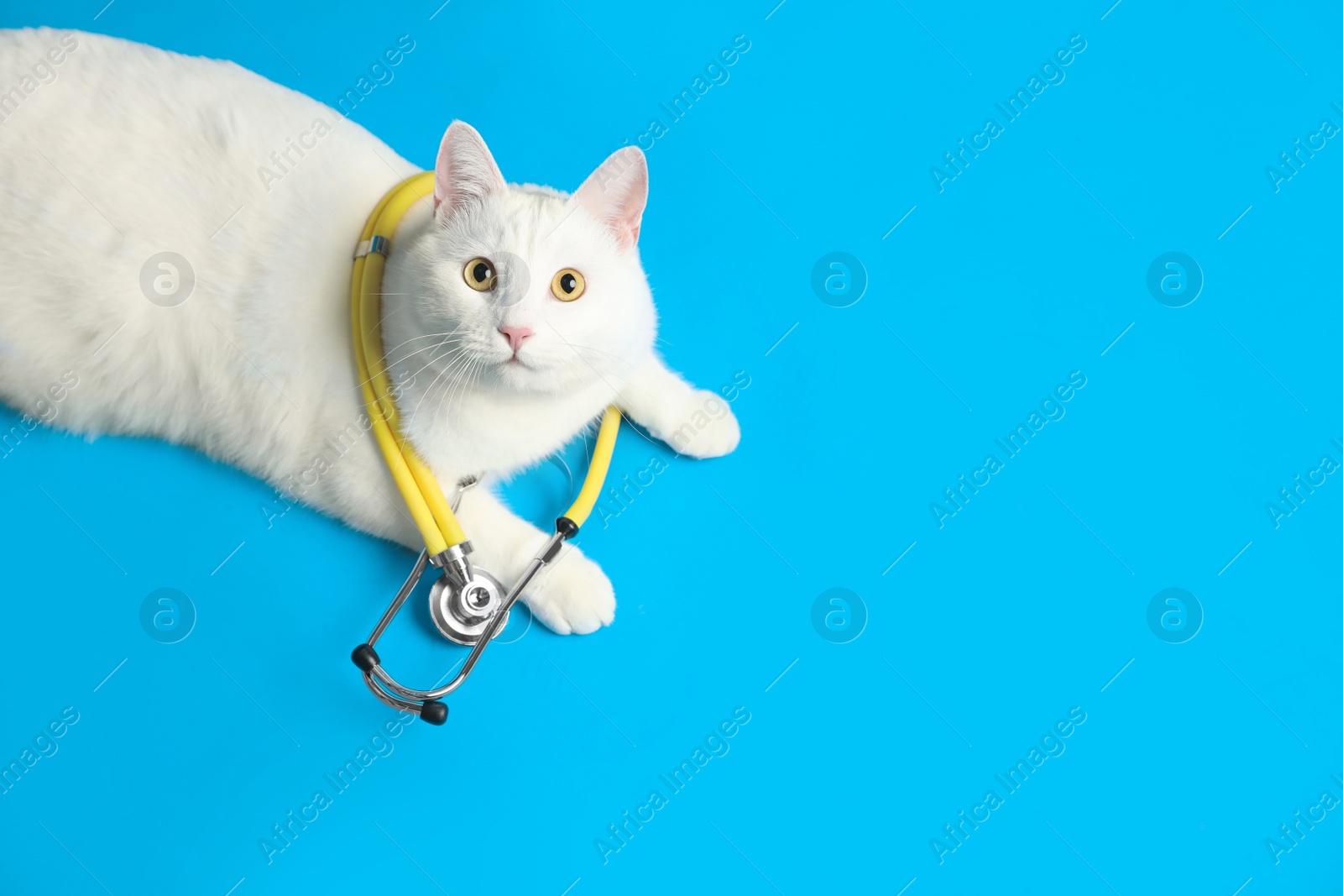 Photo of Cute cat with stethoscope as veterinarian on light blue background, above view. Space for text