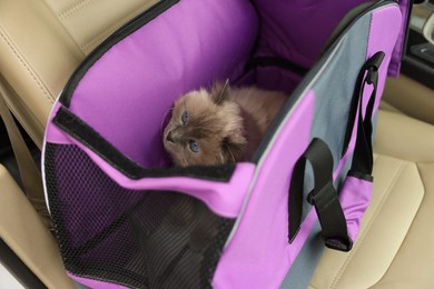 Photo of Cute grey cat inside pet carrier in car
