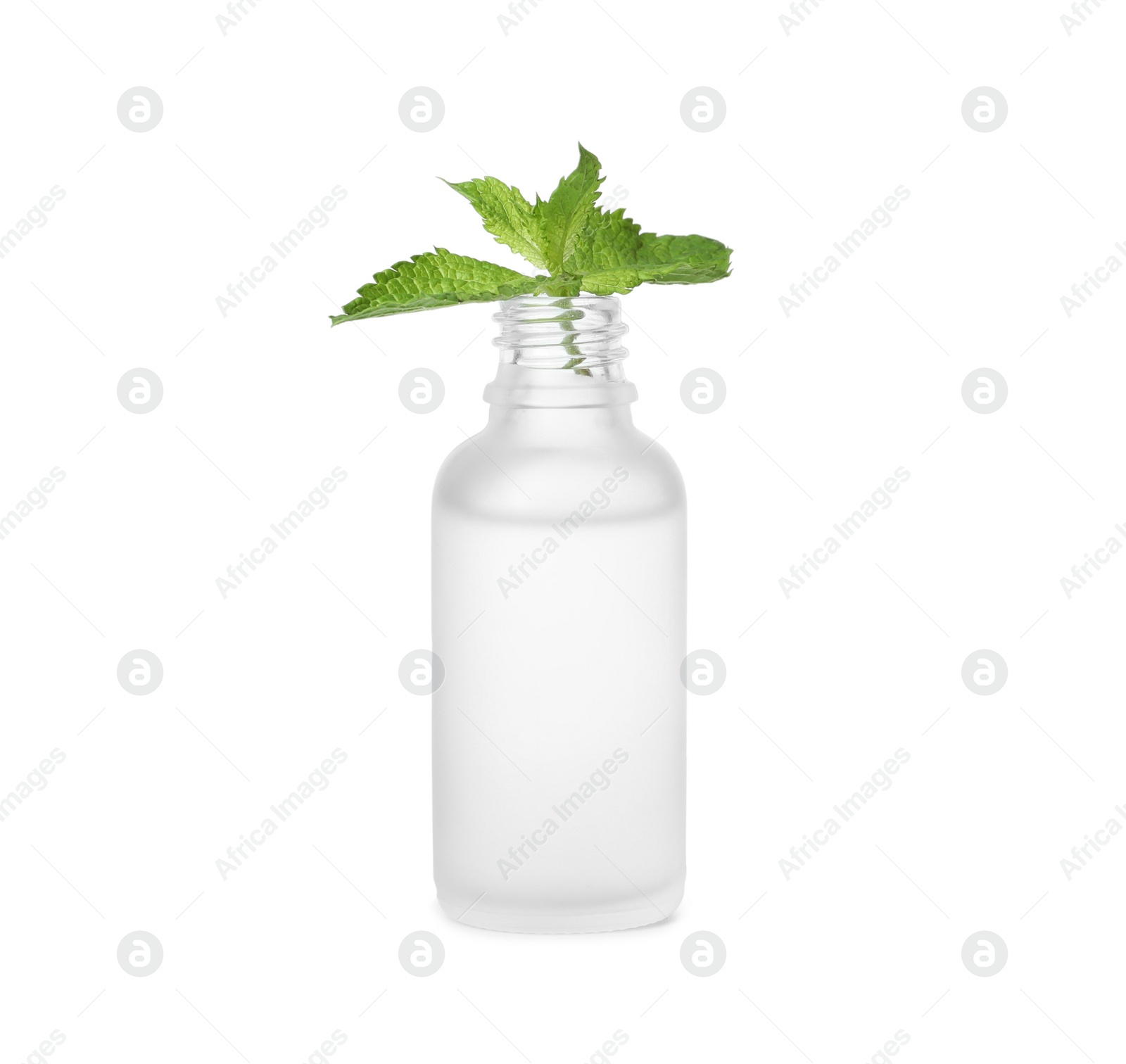 Photo of Bottle of essential oil and mint on white background