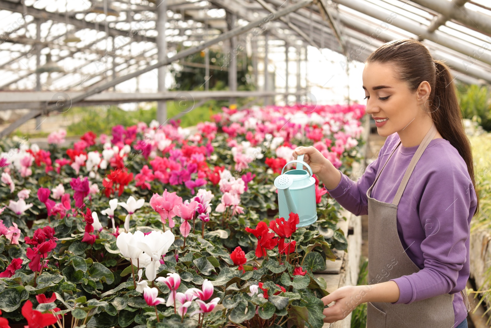 Photo of Young woman watering flowers in greenhouse. Home gardening