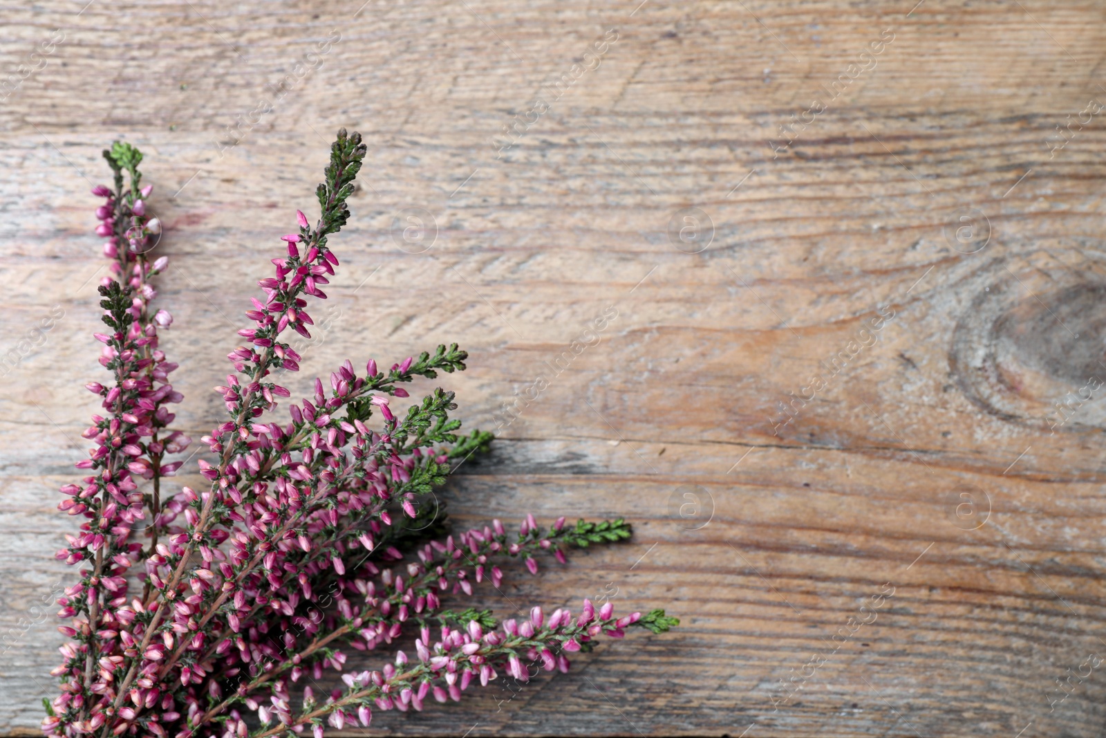 Photo of Heather branches with beautiful flowers on wooden table, flat lay. Space for text