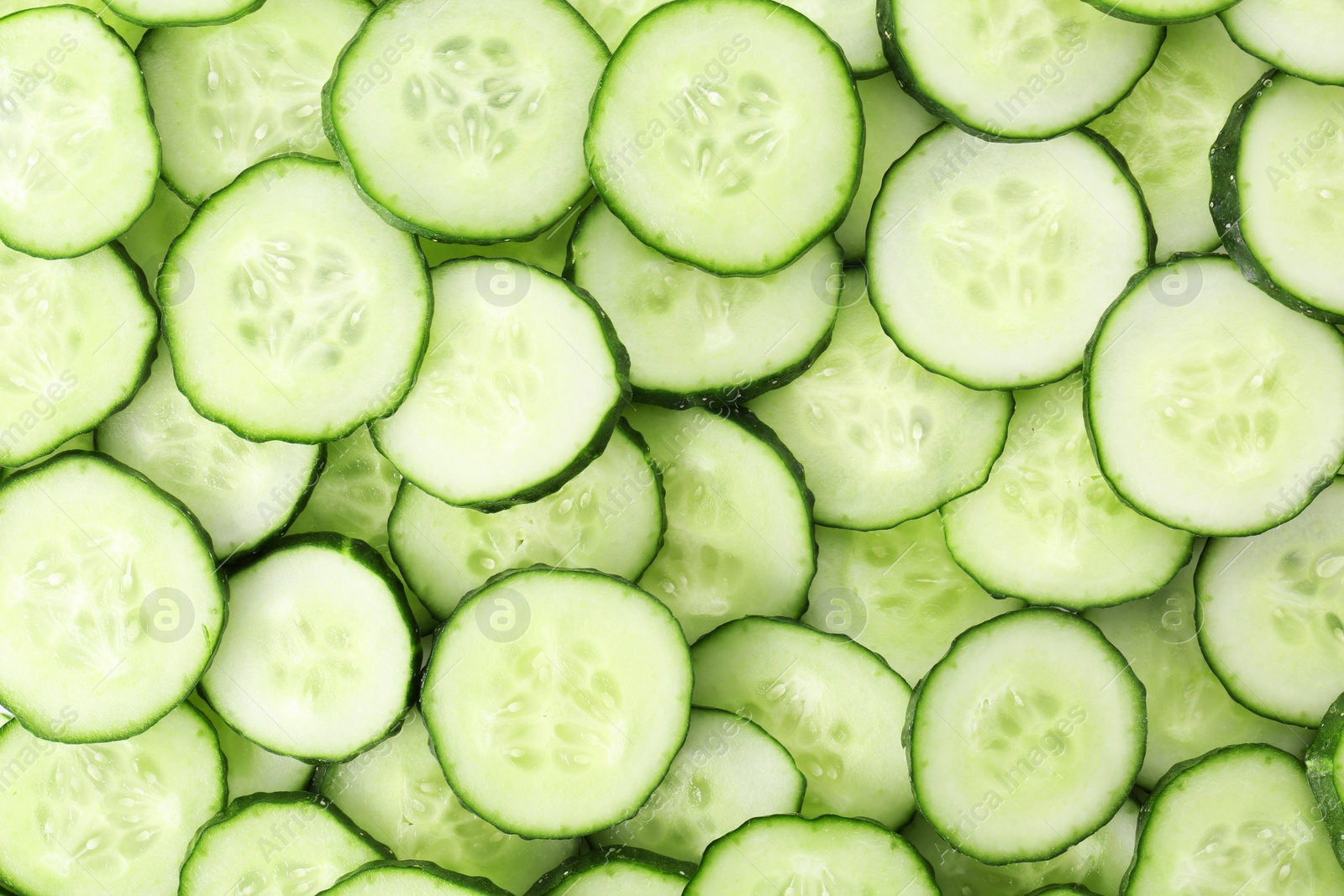 Photo of Many fresh slices of cucumber as background