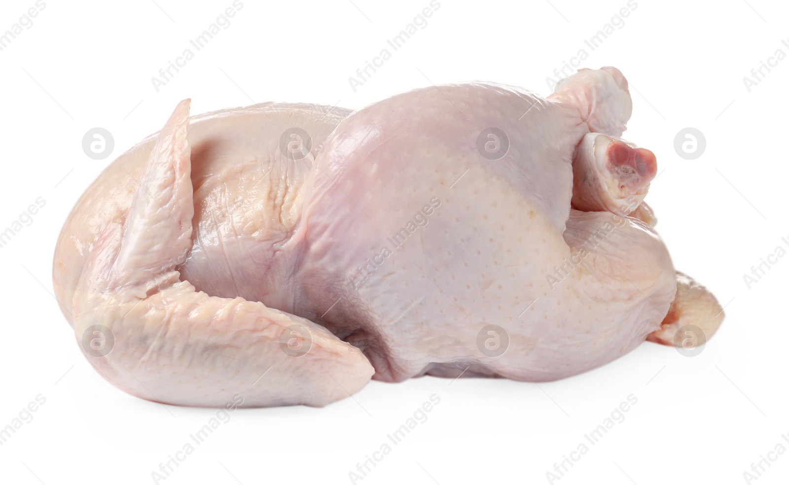 Photo of One fresh raw chicken isolated on white