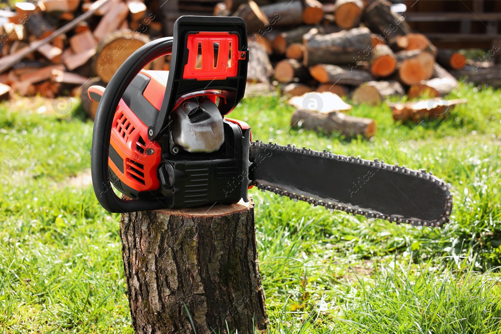 Photo of One modern saw on wooden log on sunny day