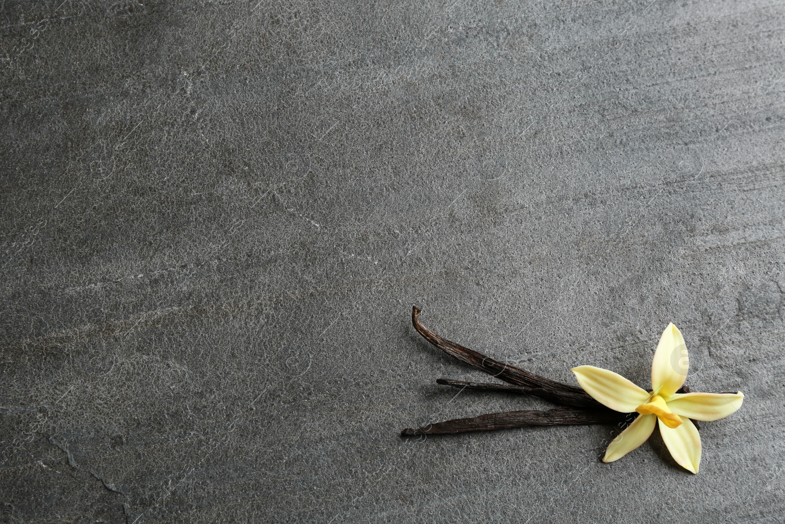 Photo of Flat lay composition with vanilla sticks and flower on grey background. Space for text