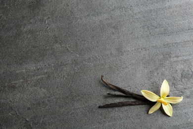 Flat lay composition with vanilla sticks and flower on grey background. Space for text