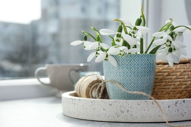 Beautiful snowdrops in vase and decor on light table near window. Space for text