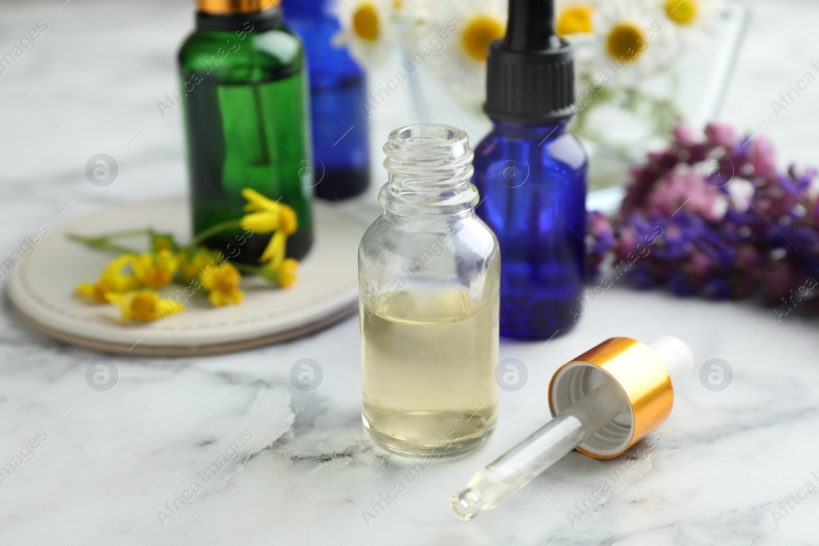 Photo of Bottles of different essential oils and wildflowers on marble table, space for text