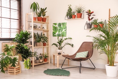 Stylish living room interior with home plants and lounge chair