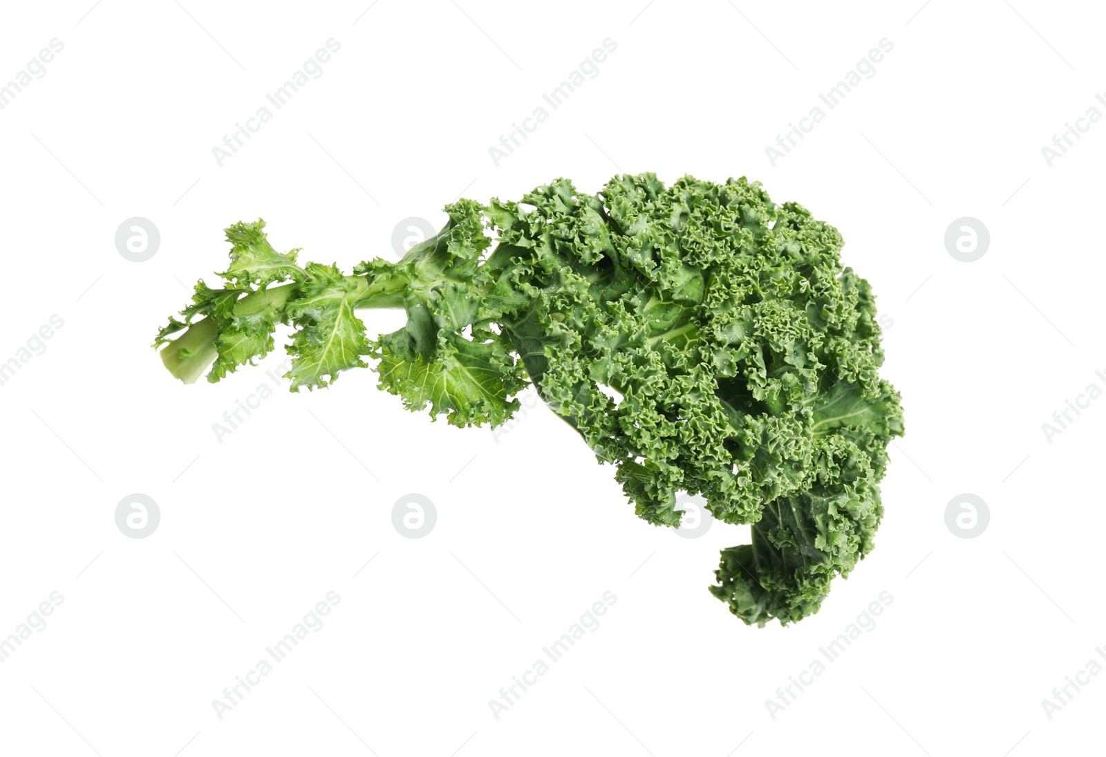 Photo of Fresh green kale leaf isolated on white