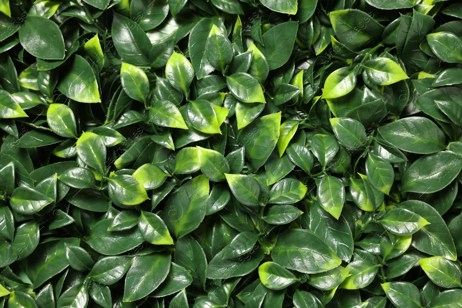 Photo of Green artificial plants as background, closeup view