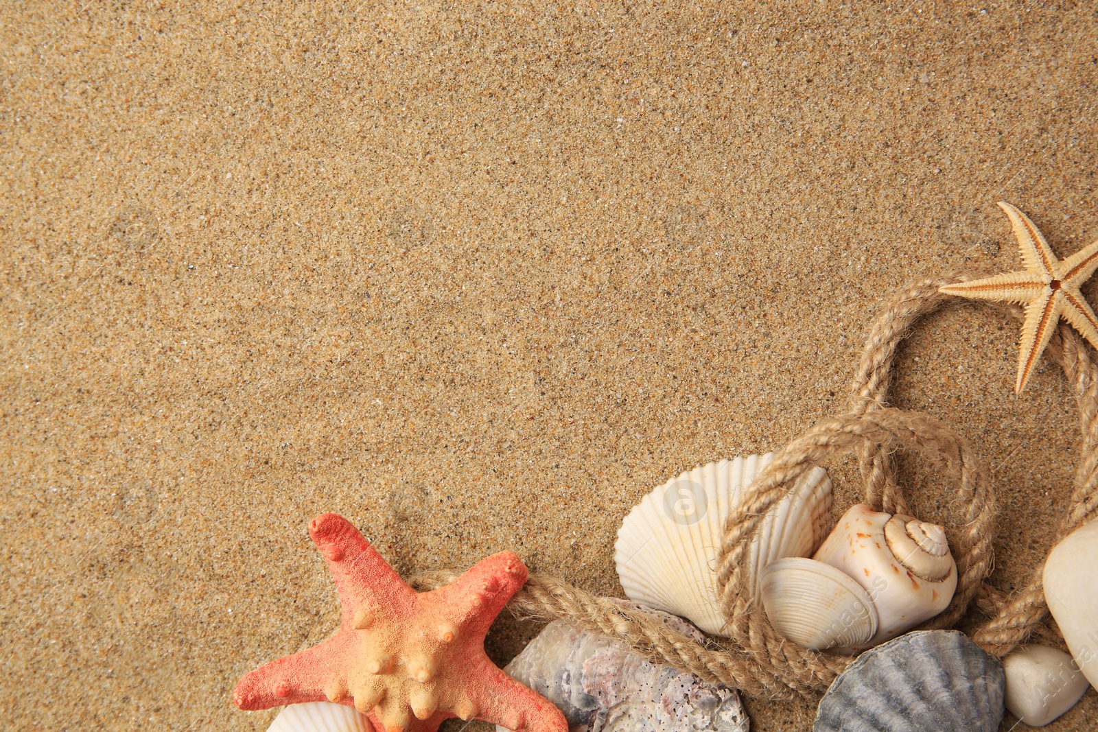 Photo of Beautiful sea stars, shells and rope on sand, flat lay. Space for text