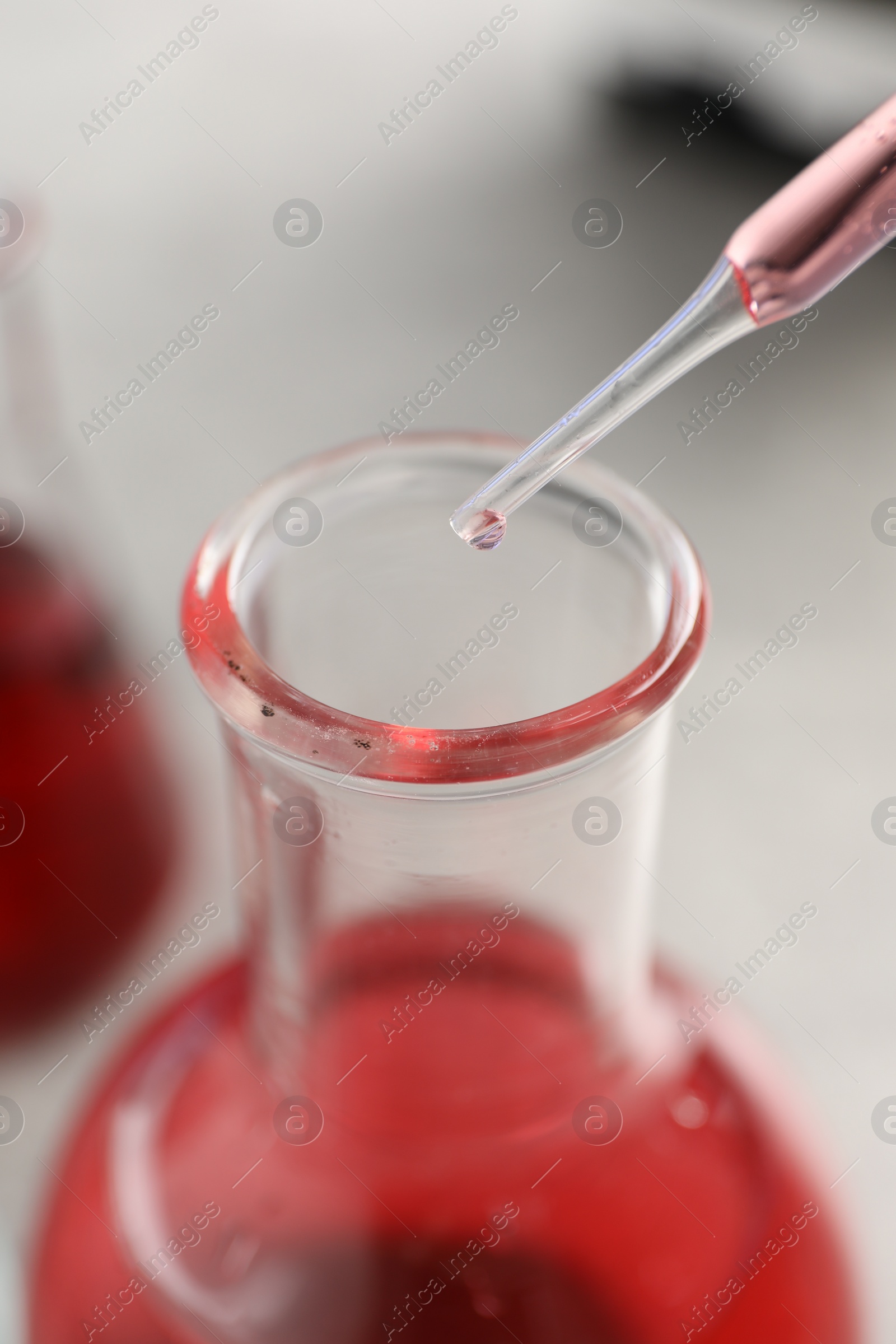 Photo of Laboratory analysis. Dripping red liquid into flask at light grey table, closeup