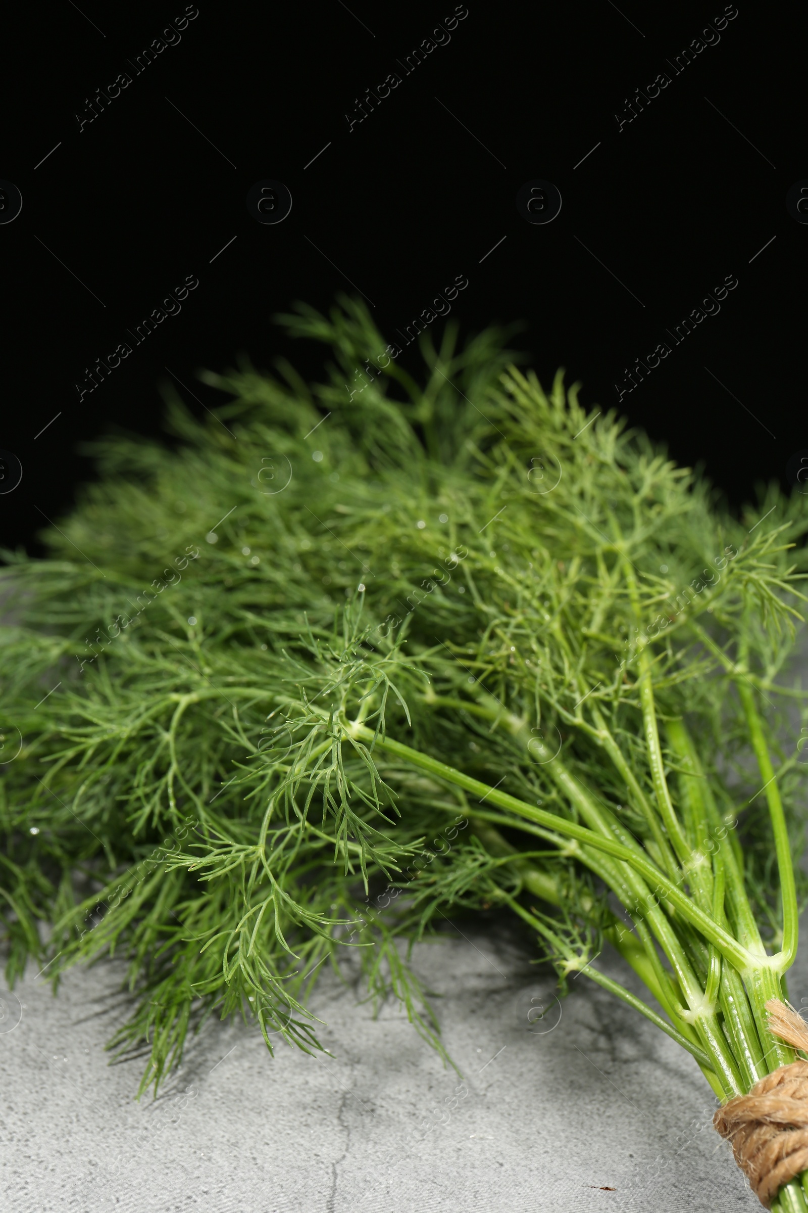 Photo of Bunch of fresh dill on light grey table against black background, closeup