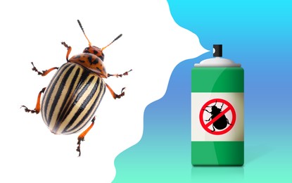 Image of Insecticide and Colorado potato beetle on color background