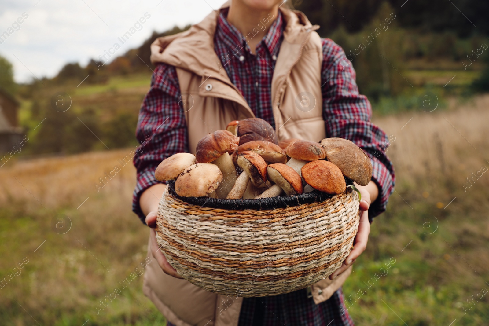 Photo of Woman holding wicker basket with fresh wild mushrooms outdoors, closeup