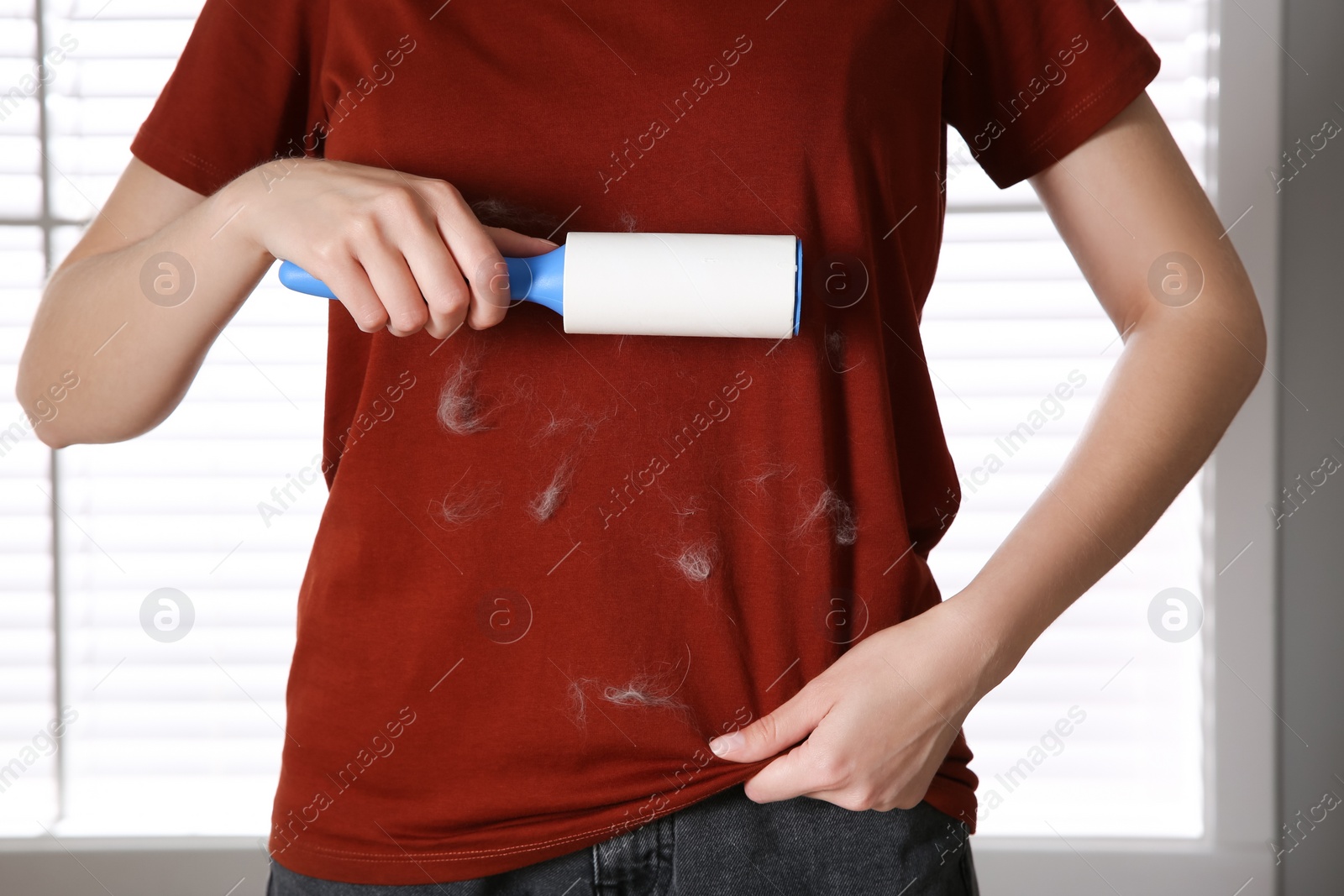 Photo of Woman removing cat hair from red t-shirt with lint roller near window, closeup