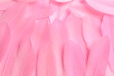 Photo of Beautiful pink feathers on as background, top view