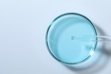 Photo of Dripping liquid from pipette into petri dish at white table, top view. Space for text
