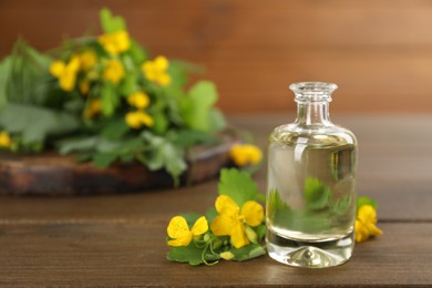 Bottle of natural celandine oil near flowers on wooden table, space for text