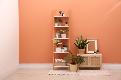 Photo of Stylish room interior with decorative ladder and plants near coral wall. Space for text