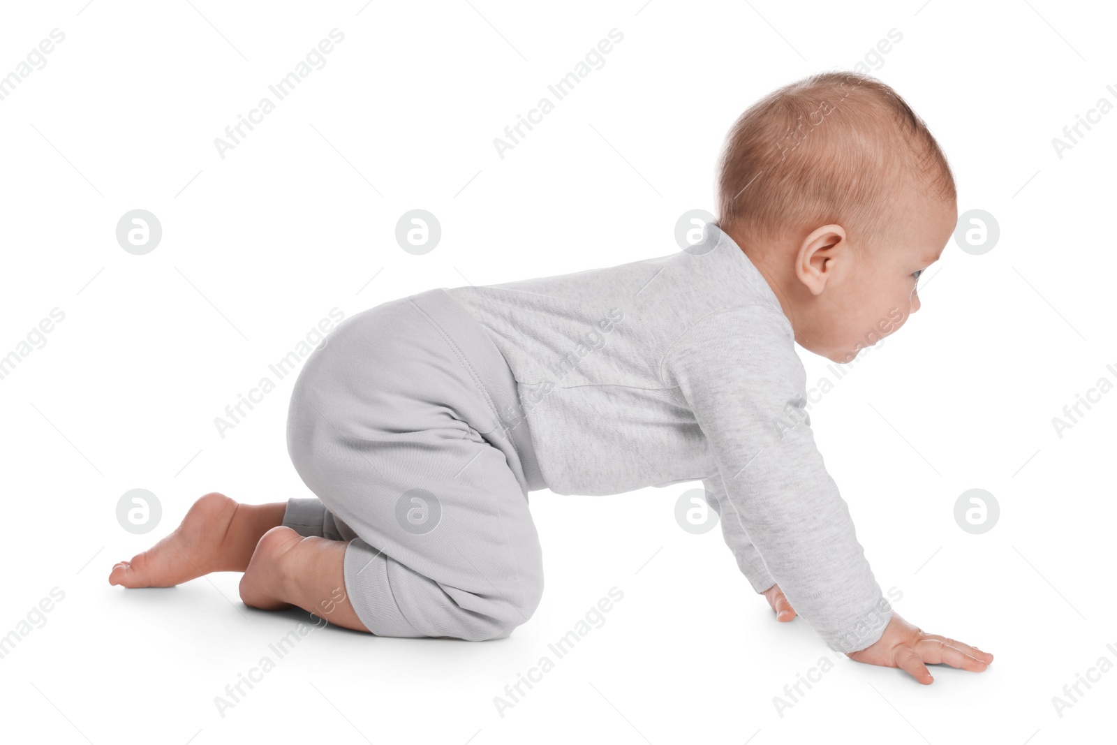 Photo of Cute little baby crawling on white background