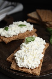 Photo of Crispy crackers with cottage cheese and basil on board, closeup
