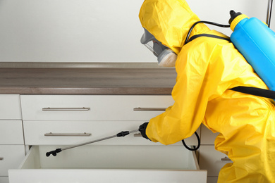 Photo of Pest control worker spraying pesticide on furniture indoors