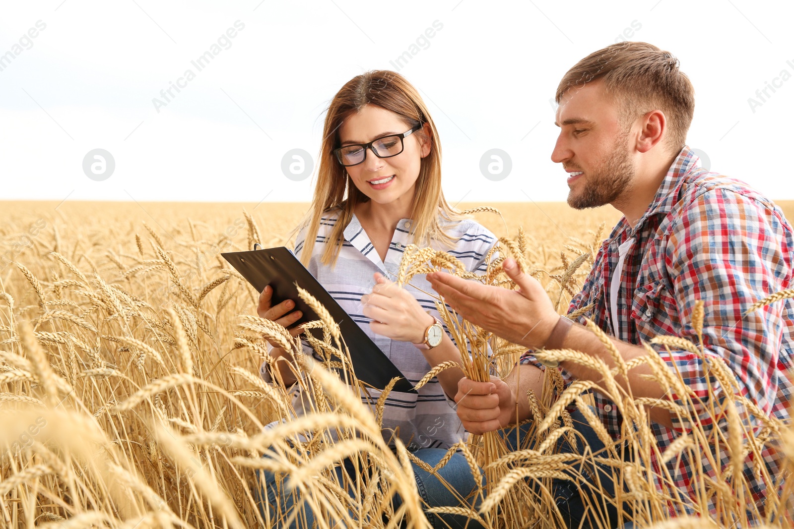 Photo of Young agronomists in grain field. Cereal farming