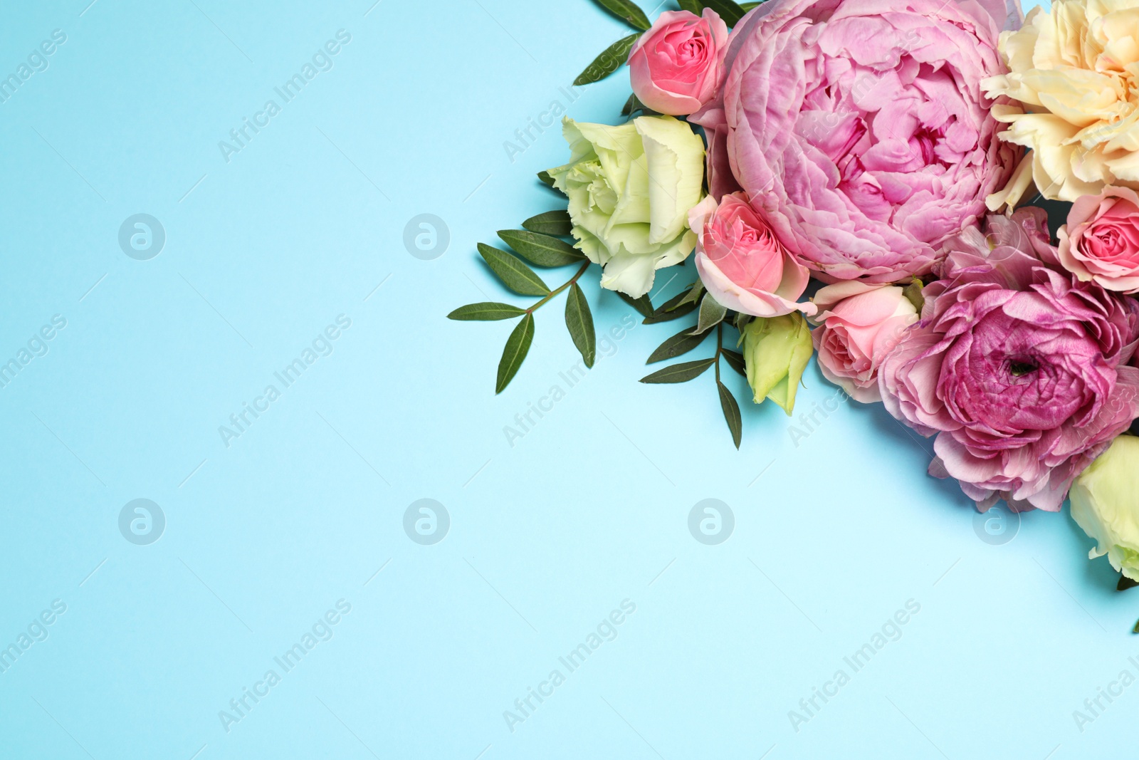 Photo of Flat lay composition with beautiful flowers and space for text on light blue background. Floral card design