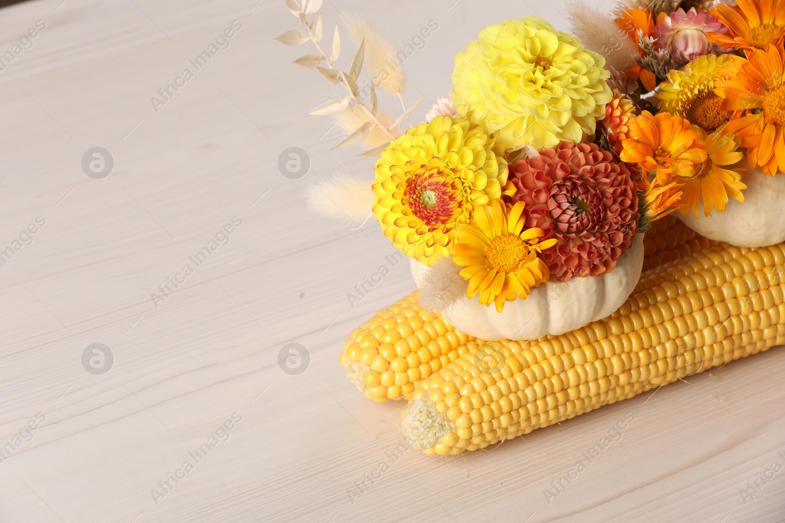 Photo of Composition of small pumpkins with beautiful flowers and corn cobs on light wooden table, closeup. Space for text