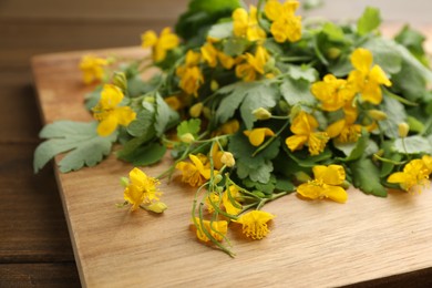 Photo of Celandine with beautiful yellow flowers on wooden board, closeup