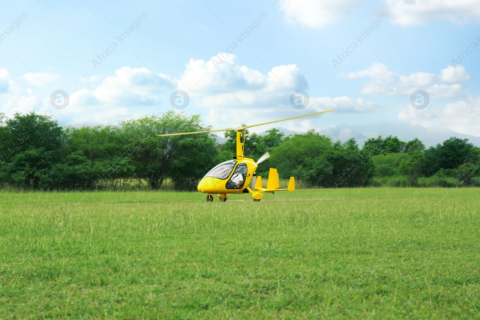 Photo of Yellow rotorcraft on grass near trees outdoors