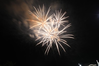 Photo of Beautiful fireworks lighting up night sky outdoors