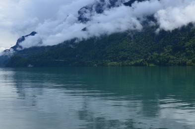 Picturesque view of beautiful river and green forest in mountains