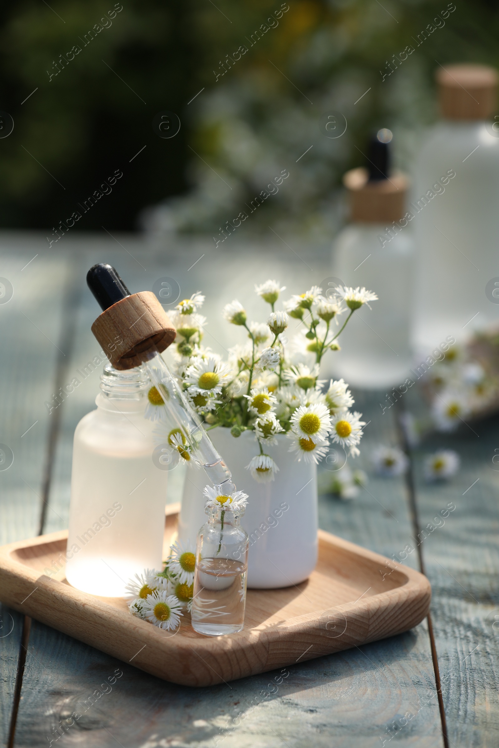 Photo of Bottles of chamomile essential oil, pipette and flowers on grey wooden table