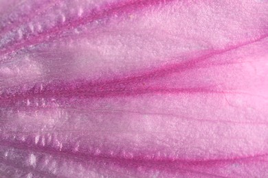 Beautiful violet Malva flower as background, macro view