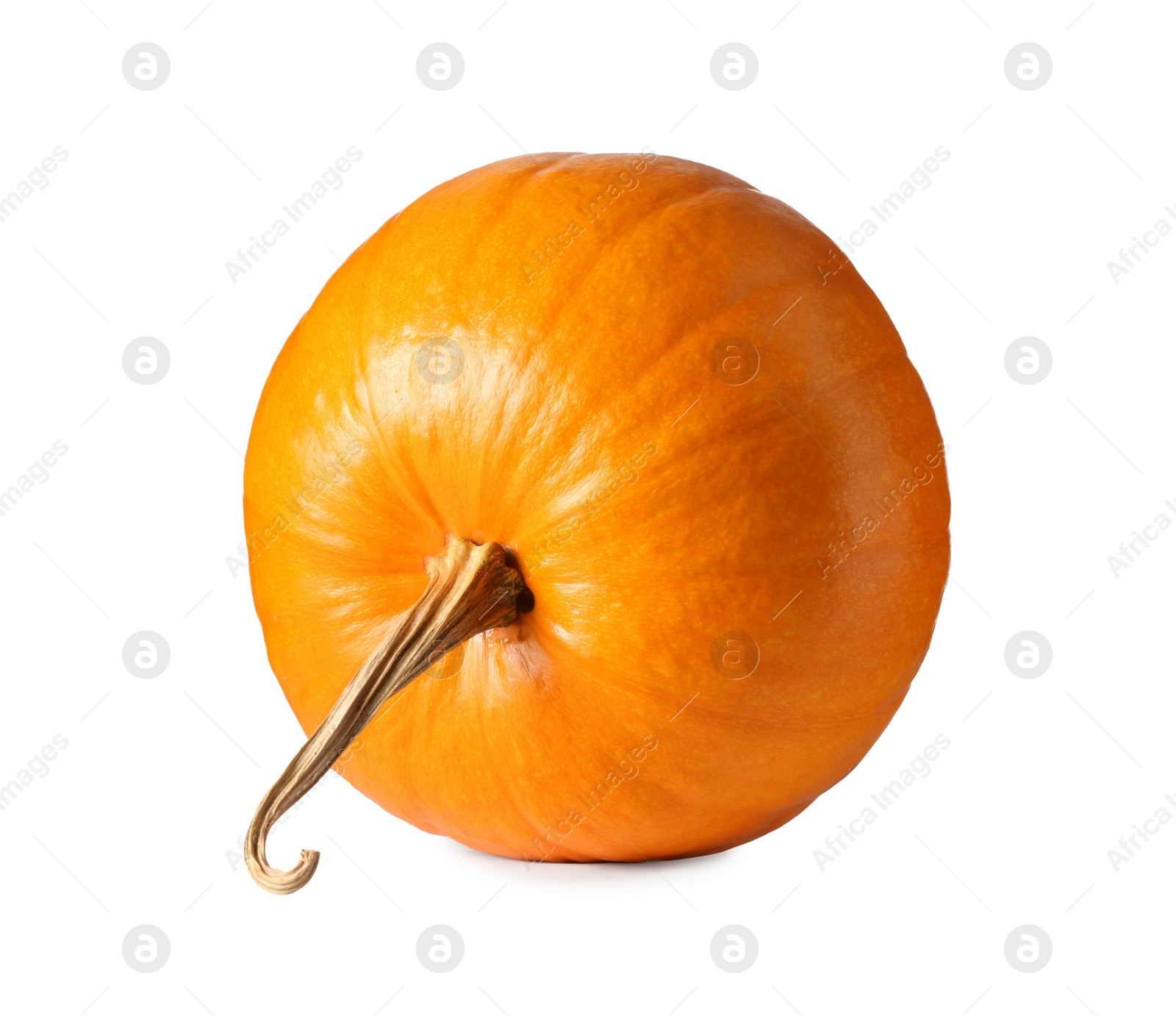 Photo of One fresh orange pumpkin isolated on white