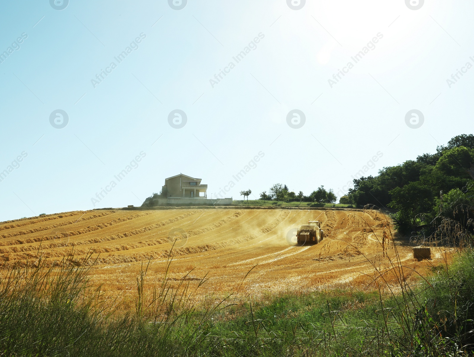 Photo of Modern combine harvester working in agricultural field