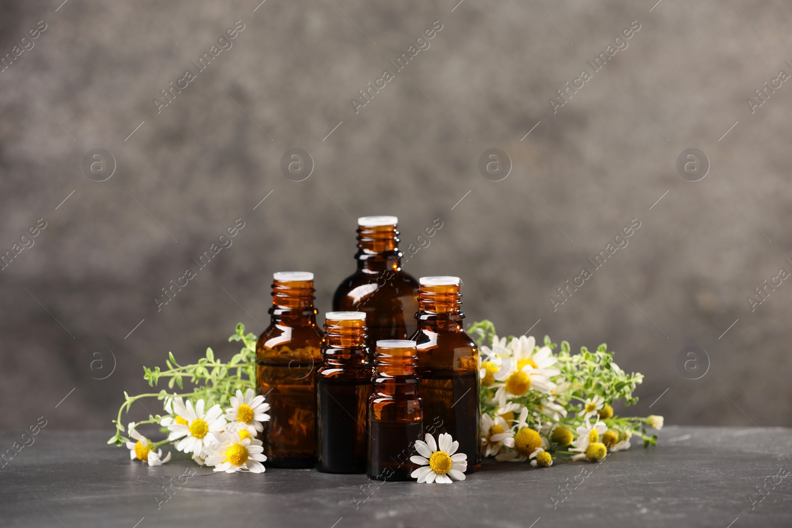 Photo of Bottles with essential oils, chamomile and thyme on grey textured table. Space for text