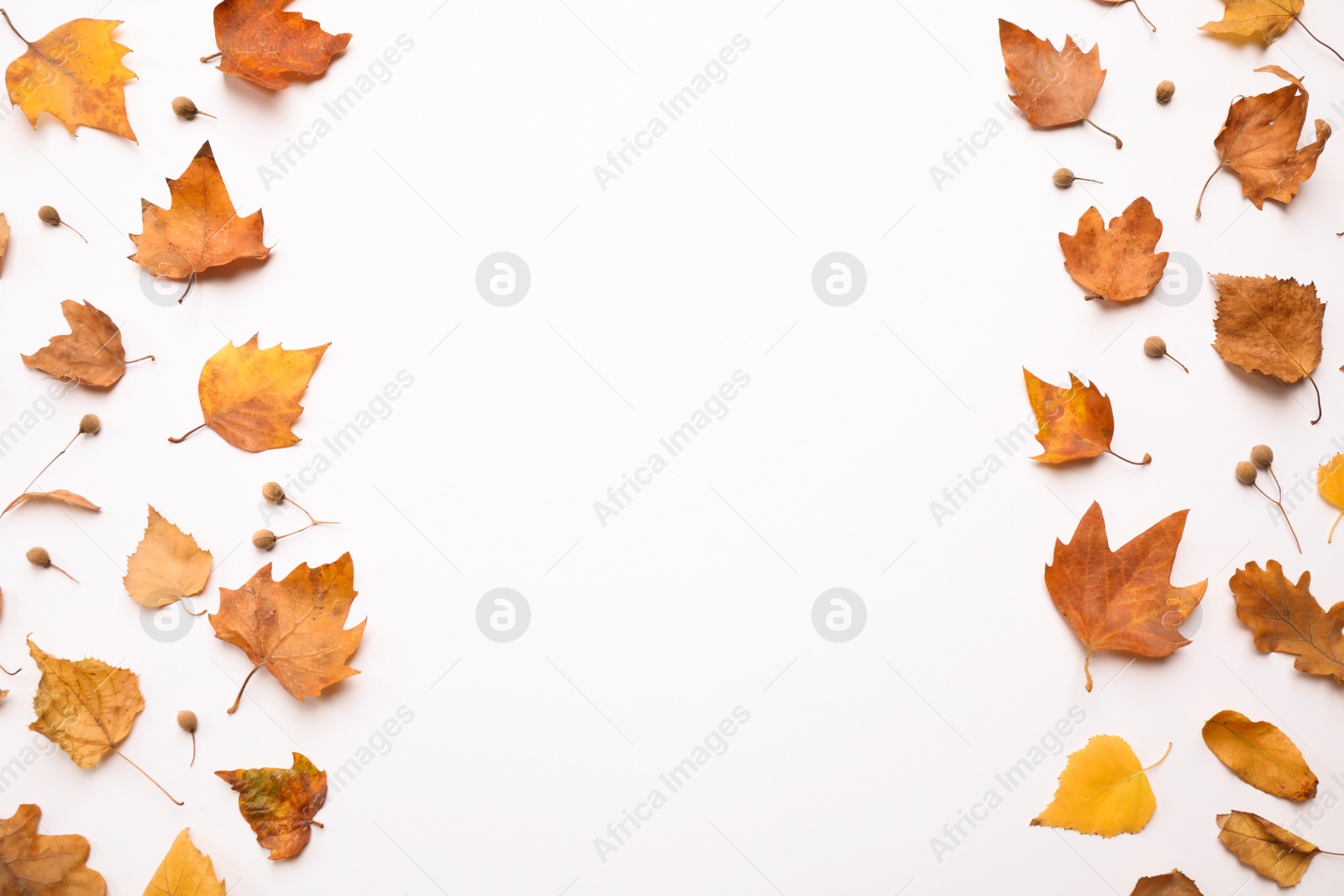 Photo of Flat lay composition with autumn leaves and space for text on white background