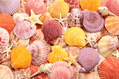 Top view of beautiful different seashells and starfishes  as background