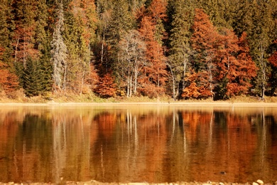 Photo of Beautiful mountain landscape with forest near water