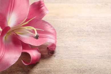 Photo of Beautiful pink lily flower on wooden table, closeup. Space for text
