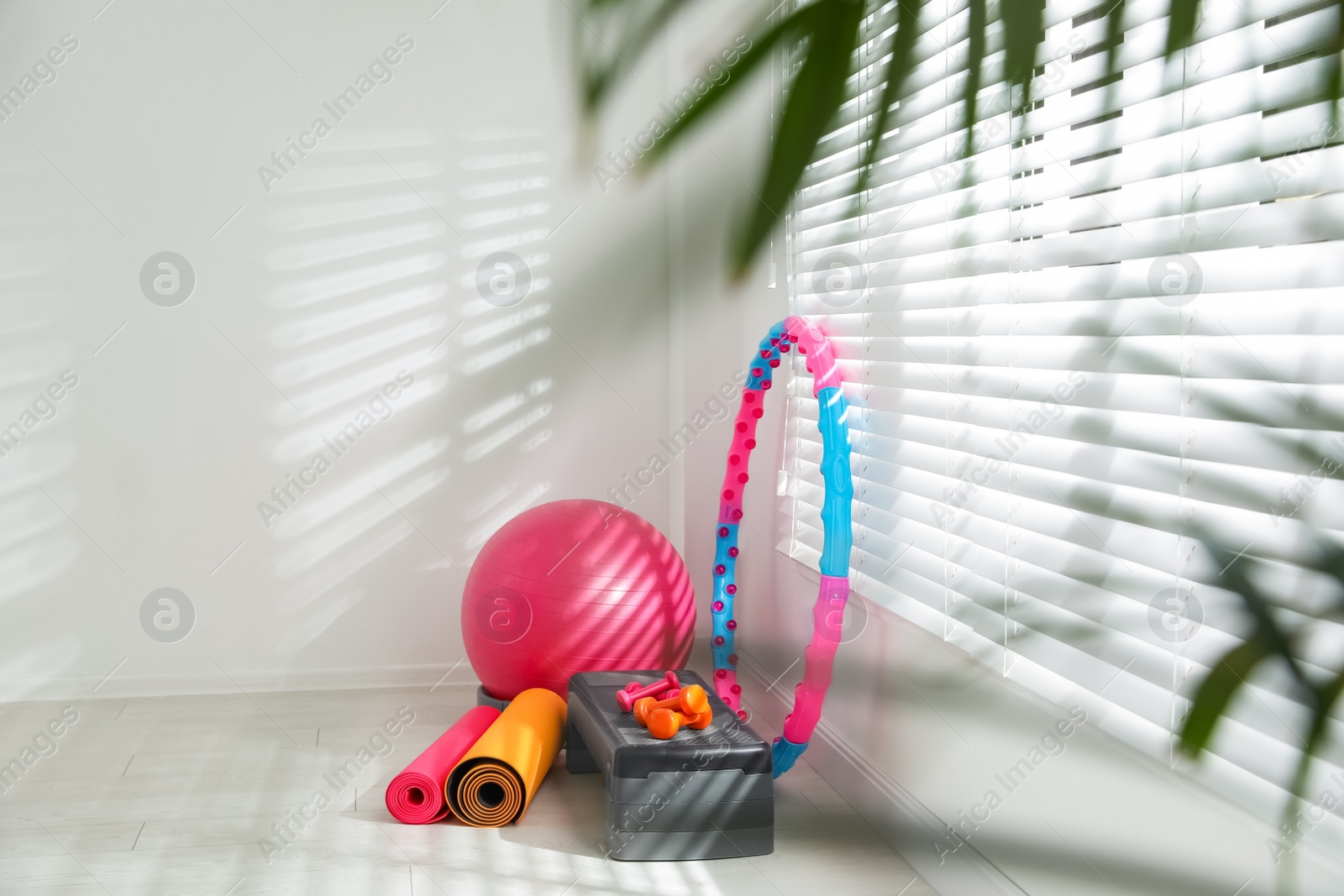 Photo of Different sports equipment near window in gym