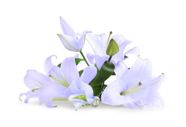 Image of Violet lily flowers on white background. Funeral attributes